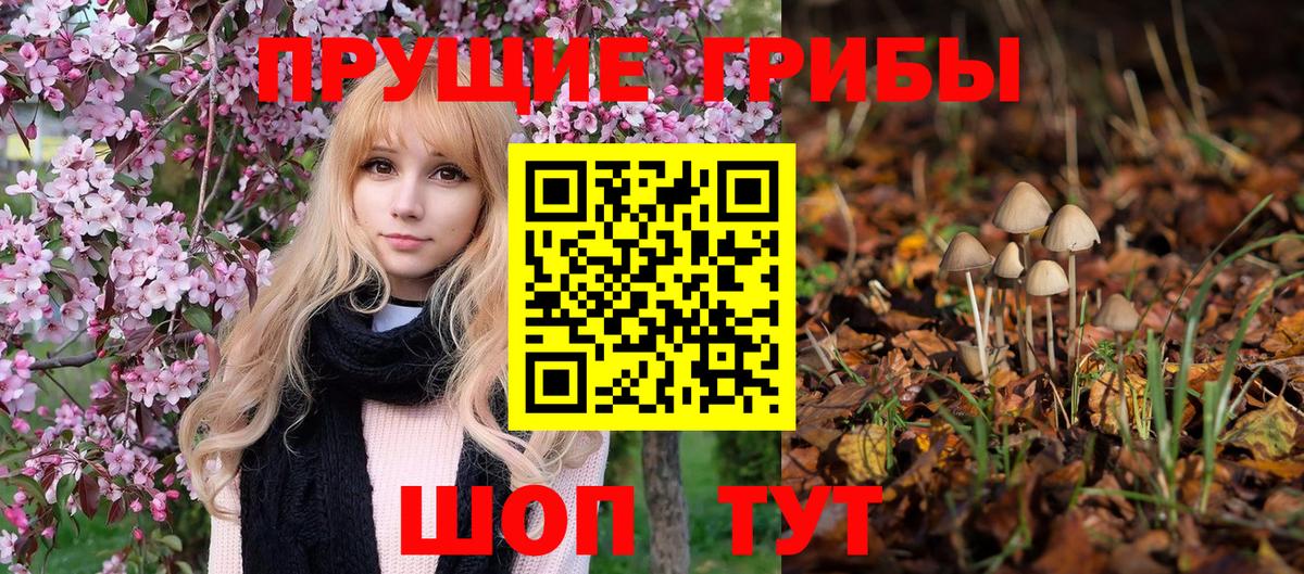 Галлюциногенные грибы GOLDEN TEACHER Саров