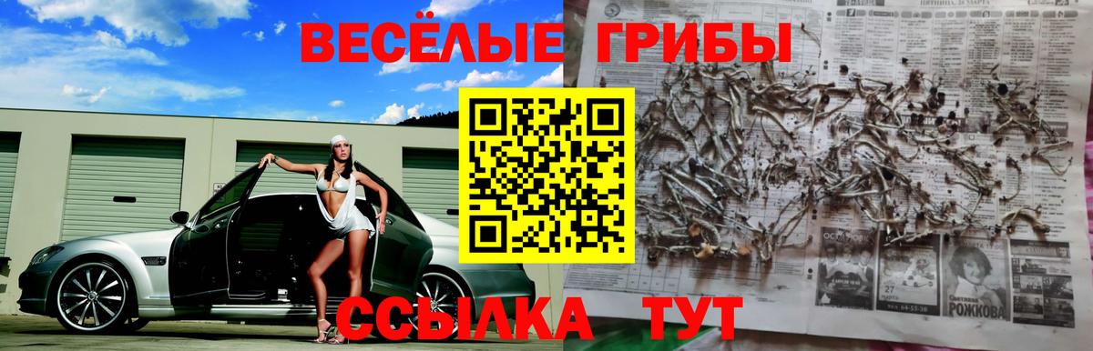 Саров  Галлюциногенные грибы ЛСД  Галлюциногенные грибы MAGIC MUSHROOMS  что такое наркотик  Вход с VPN 